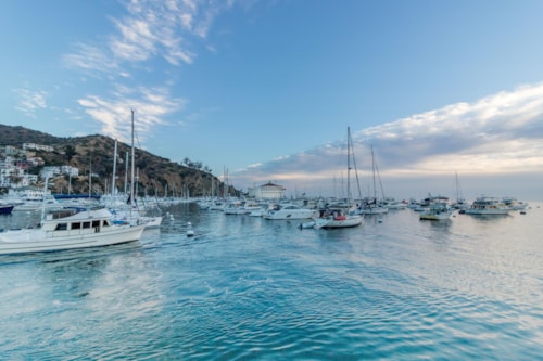 Scenic ocean, early morning Avalon bay view of sailboats, yachts, fishing boats and casino a peaceful relaxing vacation venue on Catalina island a southern California tourist attraction