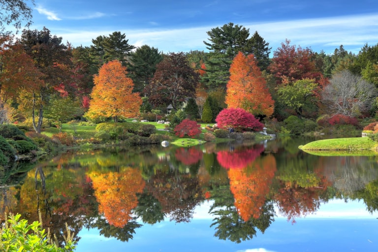 Reflection of fall foliage at Asticou Azalea Garden near Bar Harbor Maine