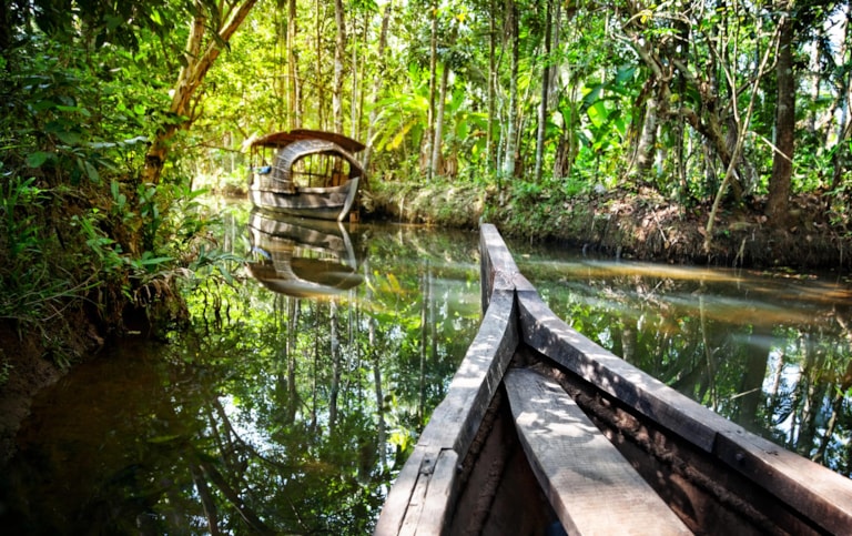 Wooden boat cruise in backwaters jungle in Kochin, Kerala, India