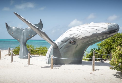 Blue whale statue on beach of Grand Turk Island