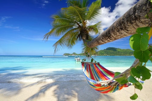 mahe Island, seychelles - Romantic cozy hammock in the shadow of the palm on the tropical beach by the sea 