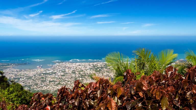 Many tropical leaves with Puerto Plata and the Atlantic Ocean in the background during a sunny day on top of Mount Isabel de Torres