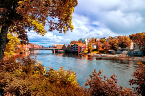 View through autumn foliage to Nidelva river, Trondheim city, Norway